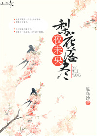 耀扬盒