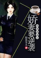 少年阿啊宾文目录在线阅读