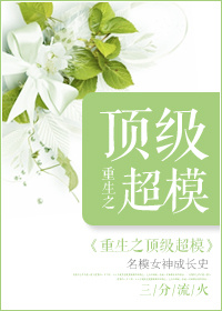 公主骑士征服战争