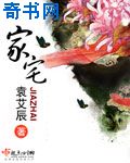 东宫电视剧在线全集免费播放