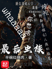 2024非天翔夜翔