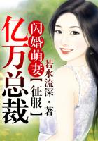 紫川txt下载
