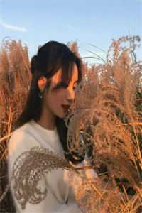 最近中文字幕经典版在线