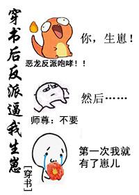 苏有朋林心如