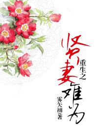 开放的心意大利1996