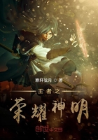 将军不要了太快了茉儿