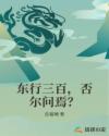 秋霞理论片