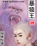 贵宾by风弄