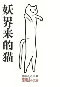 二十不惑2电视剧全集免费观看完整版