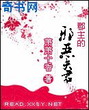 农夫新导航91