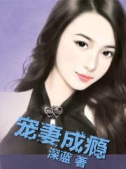 宁少辰沈倍一免费阅读