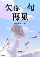 贡品男后
