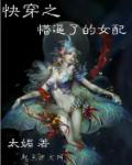 九州系列小说