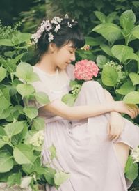 h版娇娃雇佣兵电影在线