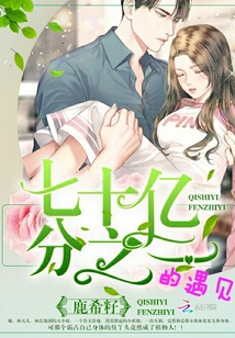 插菊综合