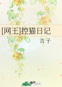 请赐我一双翅膀小说