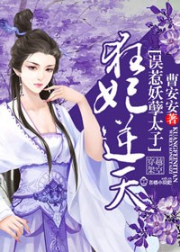 轮理小说
