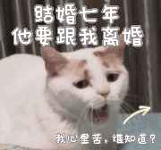 宜春香质小说免费阅读