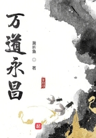 嵌入式燃气灶