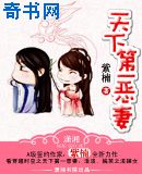 官婿美人图小说全文免费阅读