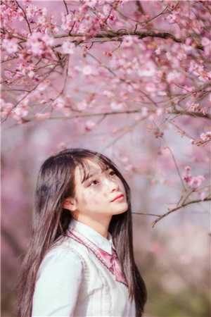 美妙人妻小说