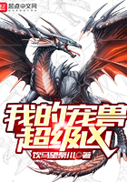 项狄