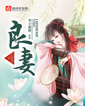中小学各种门视频合集
