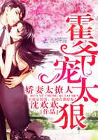 黑道之家第2季在线观看