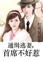忍风战队破里剑者