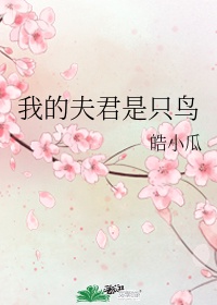 莲花村的荒唐情事
