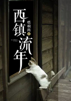 小裤裤日记