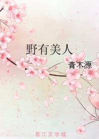 蓝天航空公司之空姐王静