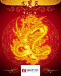 大象播放器