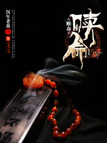 将军在上小说