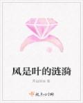 亚飞与亚基国语完整版在线观看