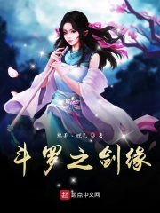 新金梅瓶龚玥菲版