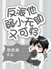 局长夫人