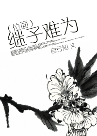 妃神会动漫播放