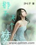 龚玥菲版新梅瓶国语在线观看