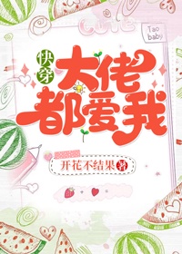 茄子视频播放免费下载