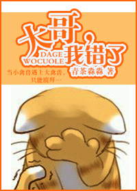 日产MV和欧美MV的区别