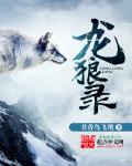 极品艳妇全文阅读