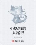 有珠何须椟