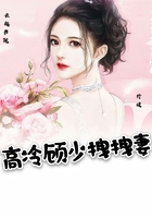 凌晨三点看高清502集电视剧