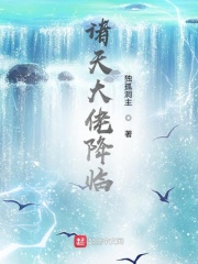 凤舞小说