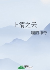 张淑芬小说