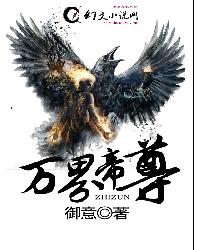 老梦视觉系列视频