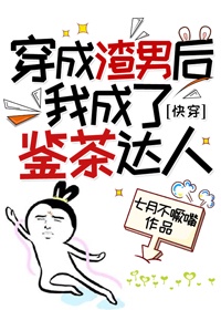 猫咪最新破解版apk下载