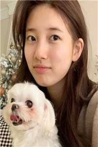 鲁死你资源采集站