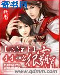 草莓视频免费